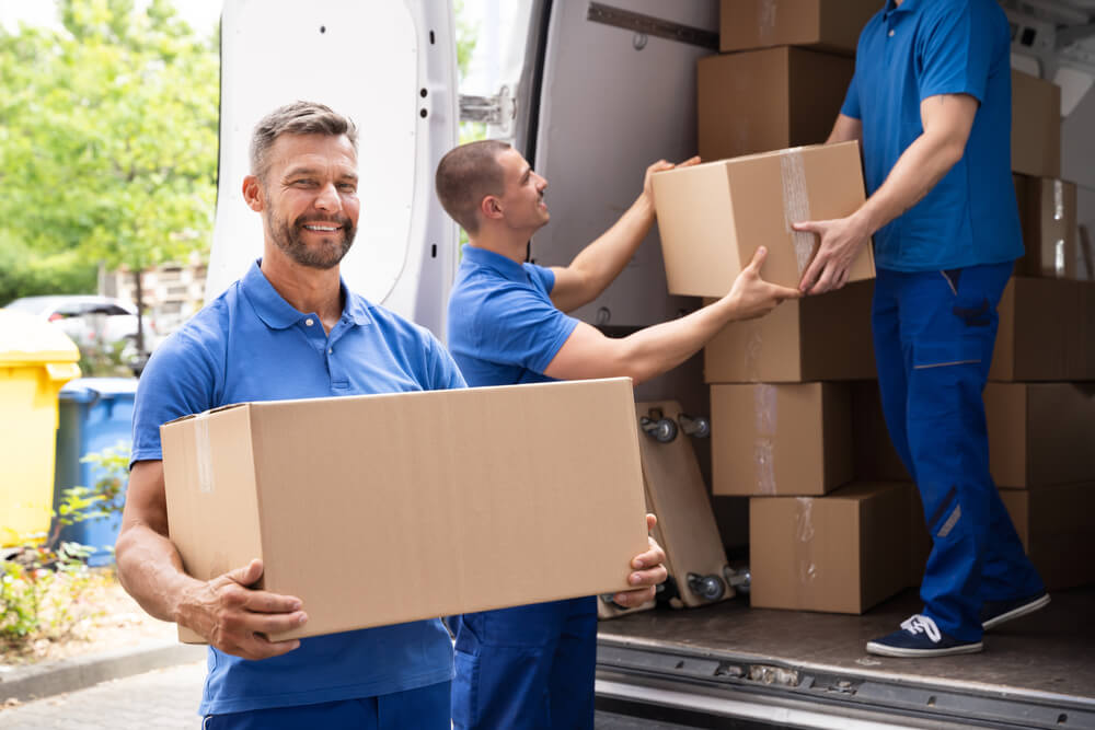 Best Movers In Santa Cruz